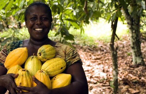 Agribusiness in africa